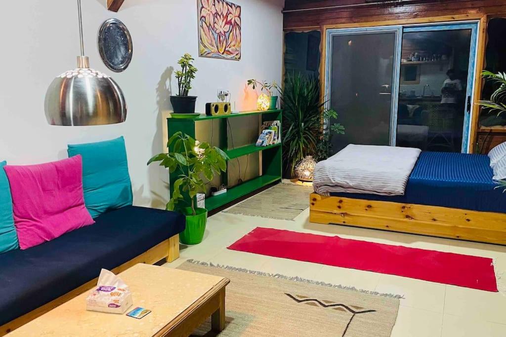 Beach front studio with huge roof top terrace
