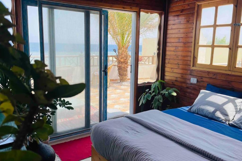 Beach front studio with huge roof top terrace