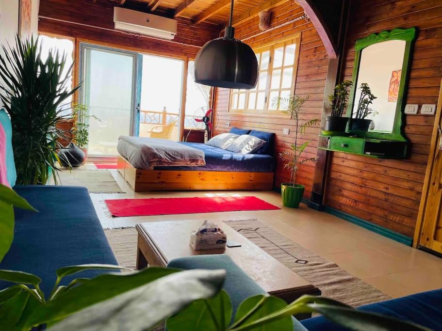 Beach front studio with huge roof top terrace