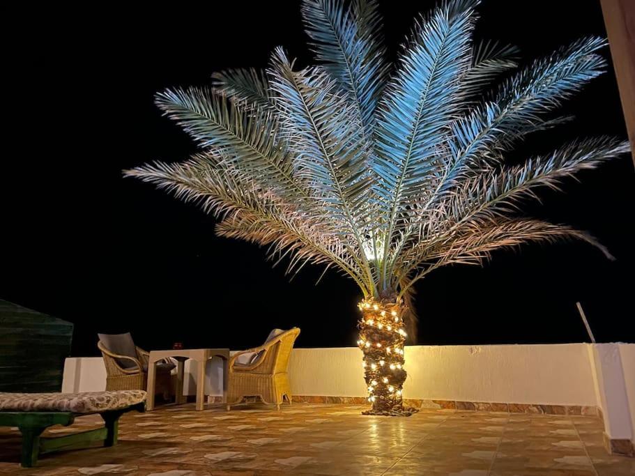 Beach front studio with huge roof top terrace