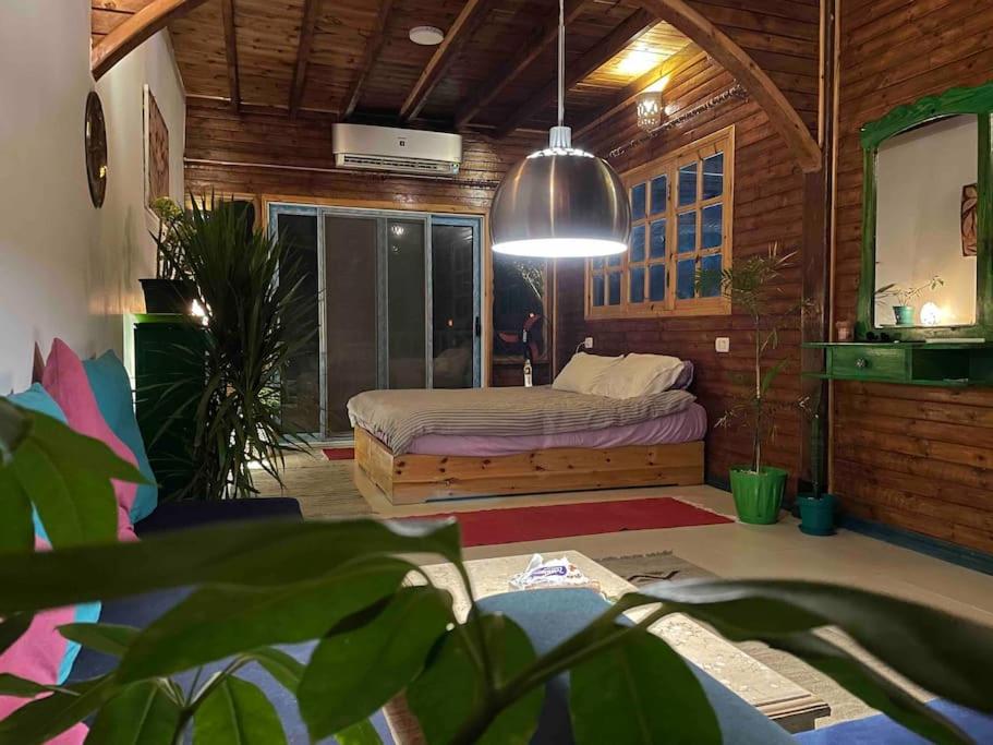 Beach front studio with huge roof top terrace