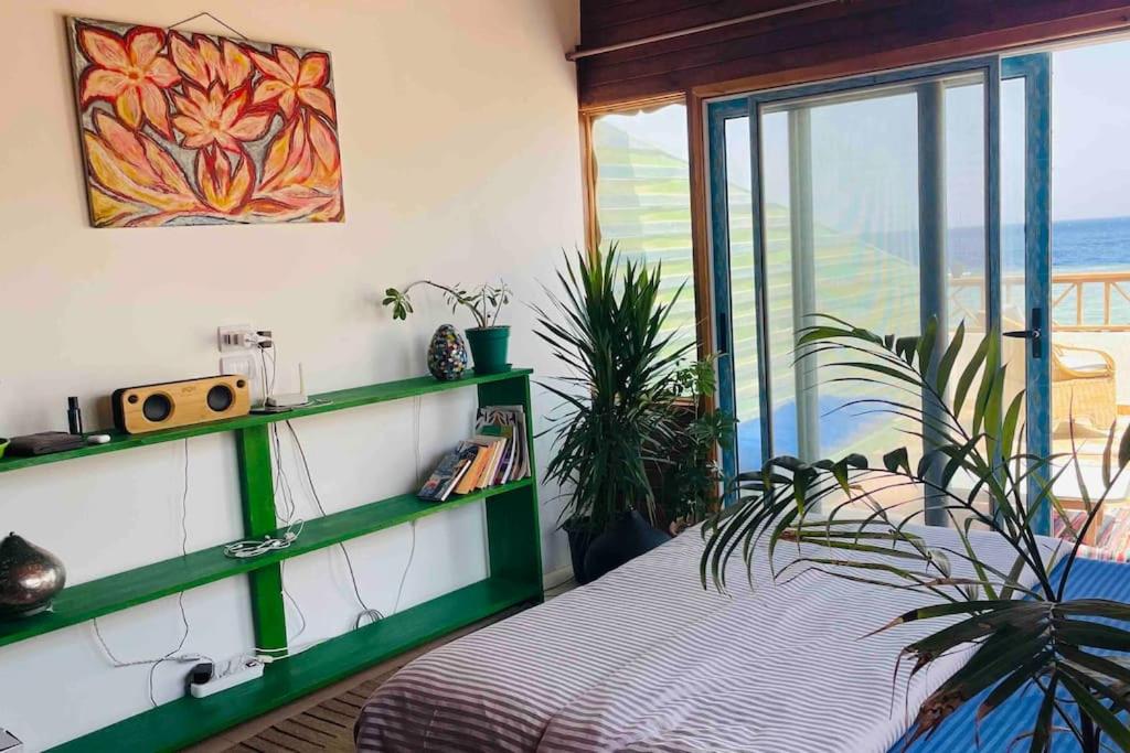 Beach front studio with huge roof top terrace