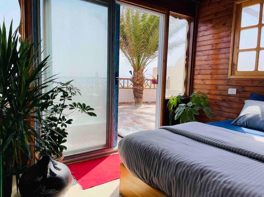 Beach front studio with huge roof top terrace