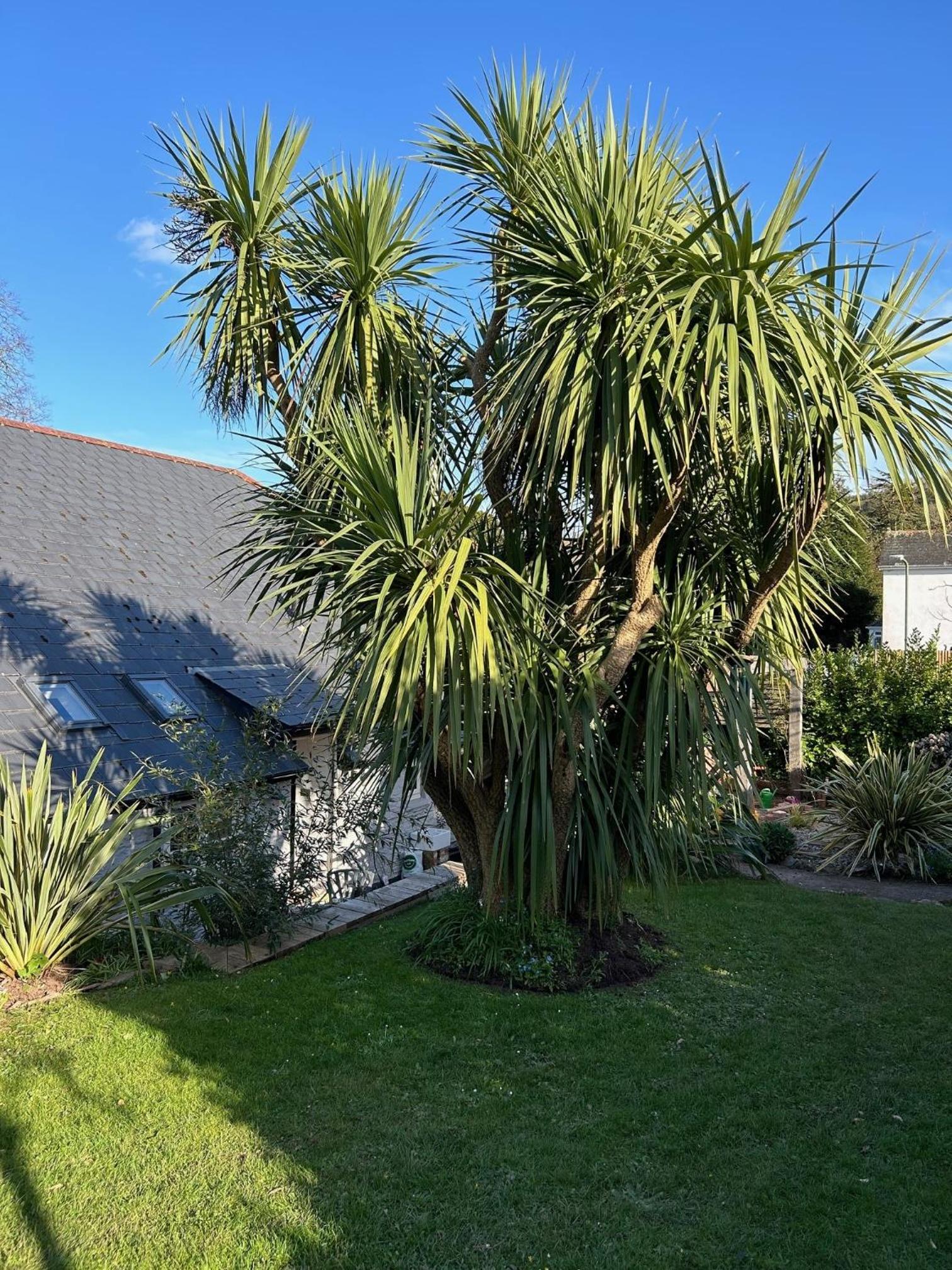 Rosedale a charming 3 bedroom detached cottage with parking