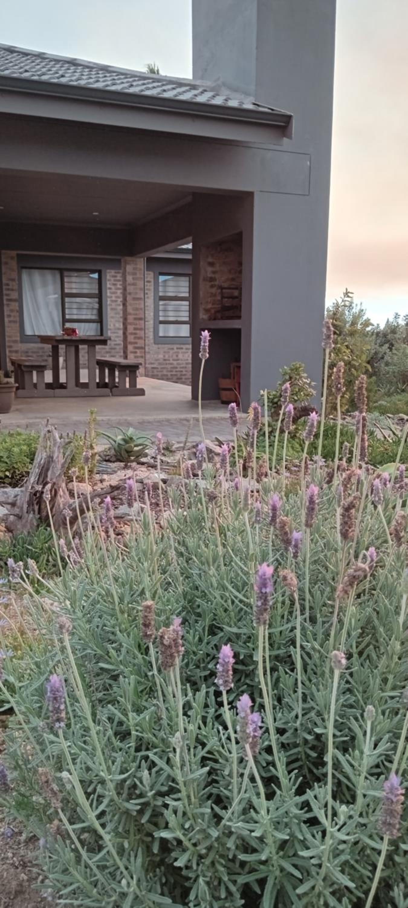 Gasteria Cottage
