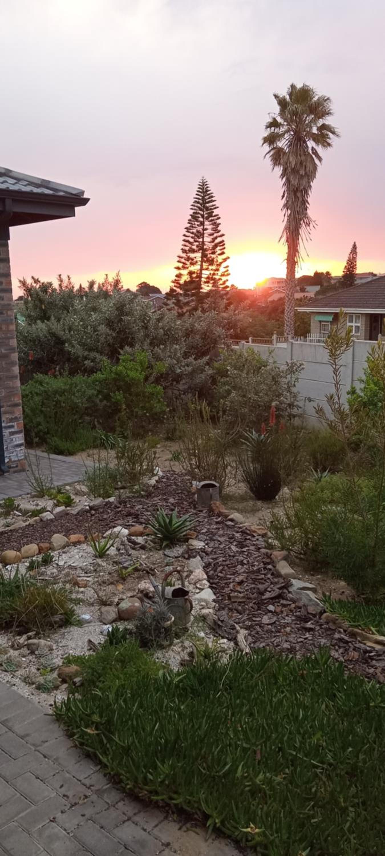 Gasteria Cottage