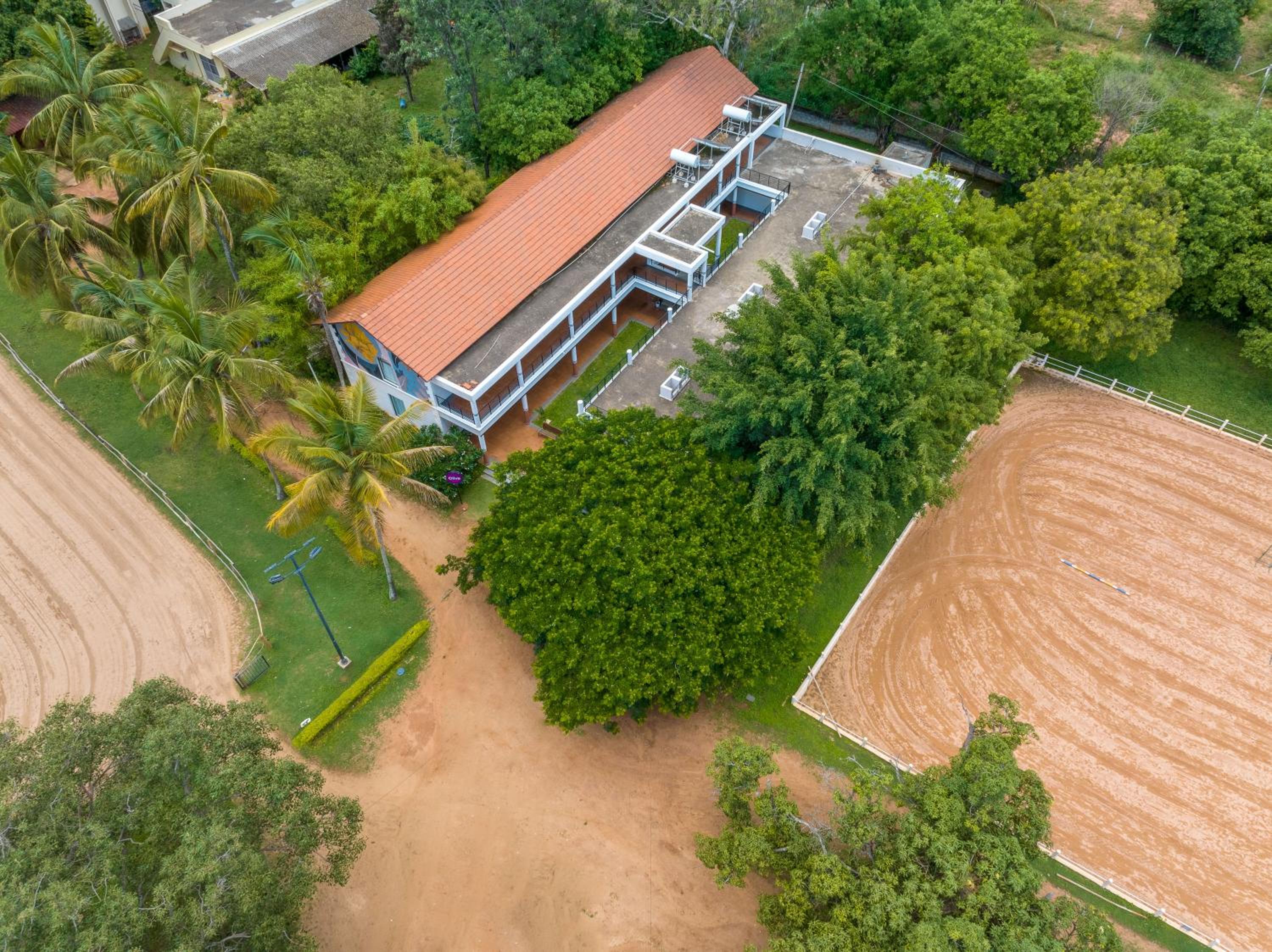 Olive Farm @ Embassy International Riding School