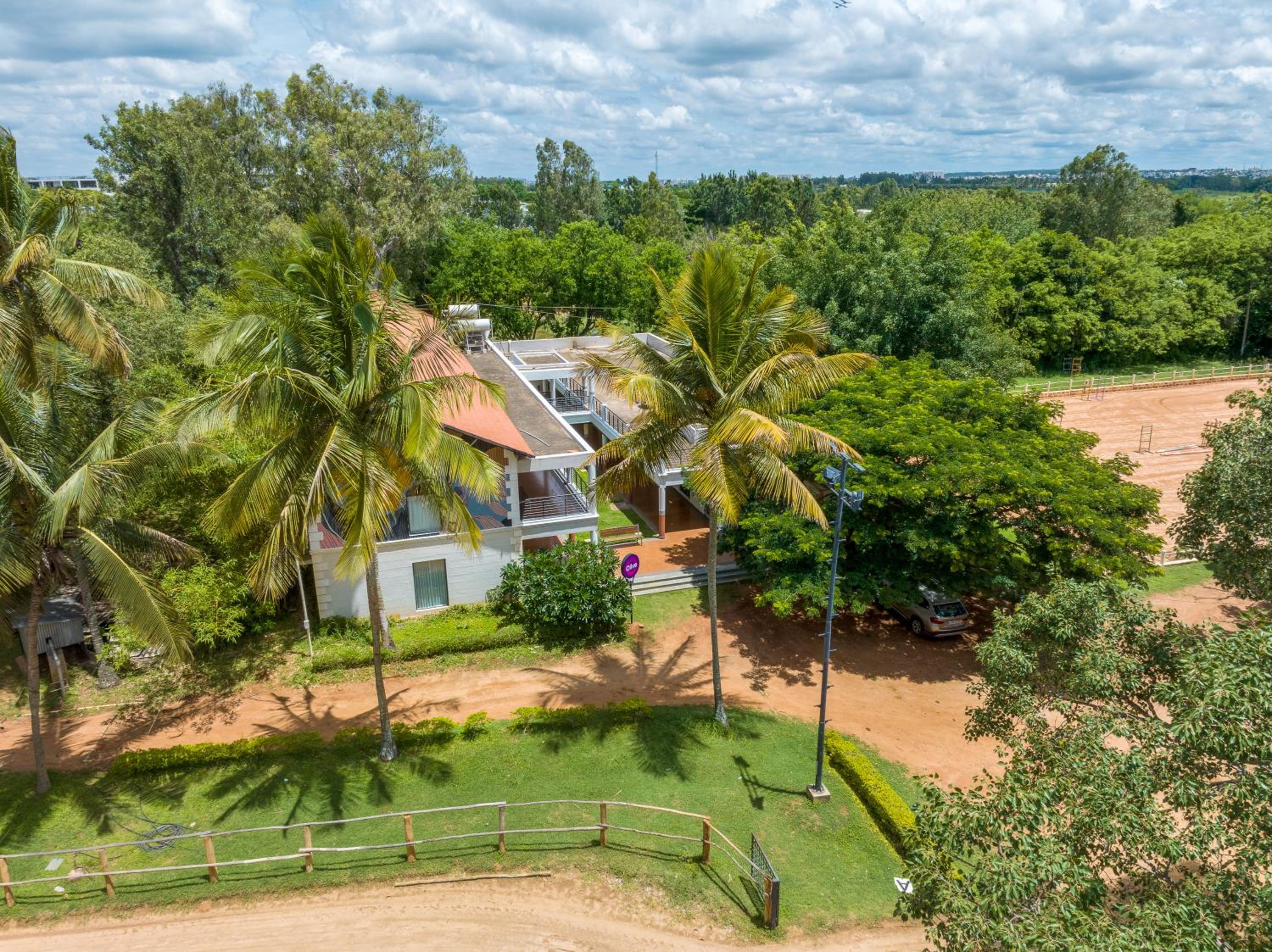 Olive Farm @ Embassy International Riding School