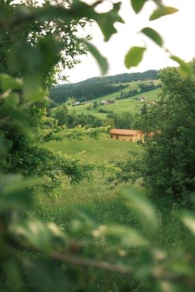 Antons Exklusives Landgut