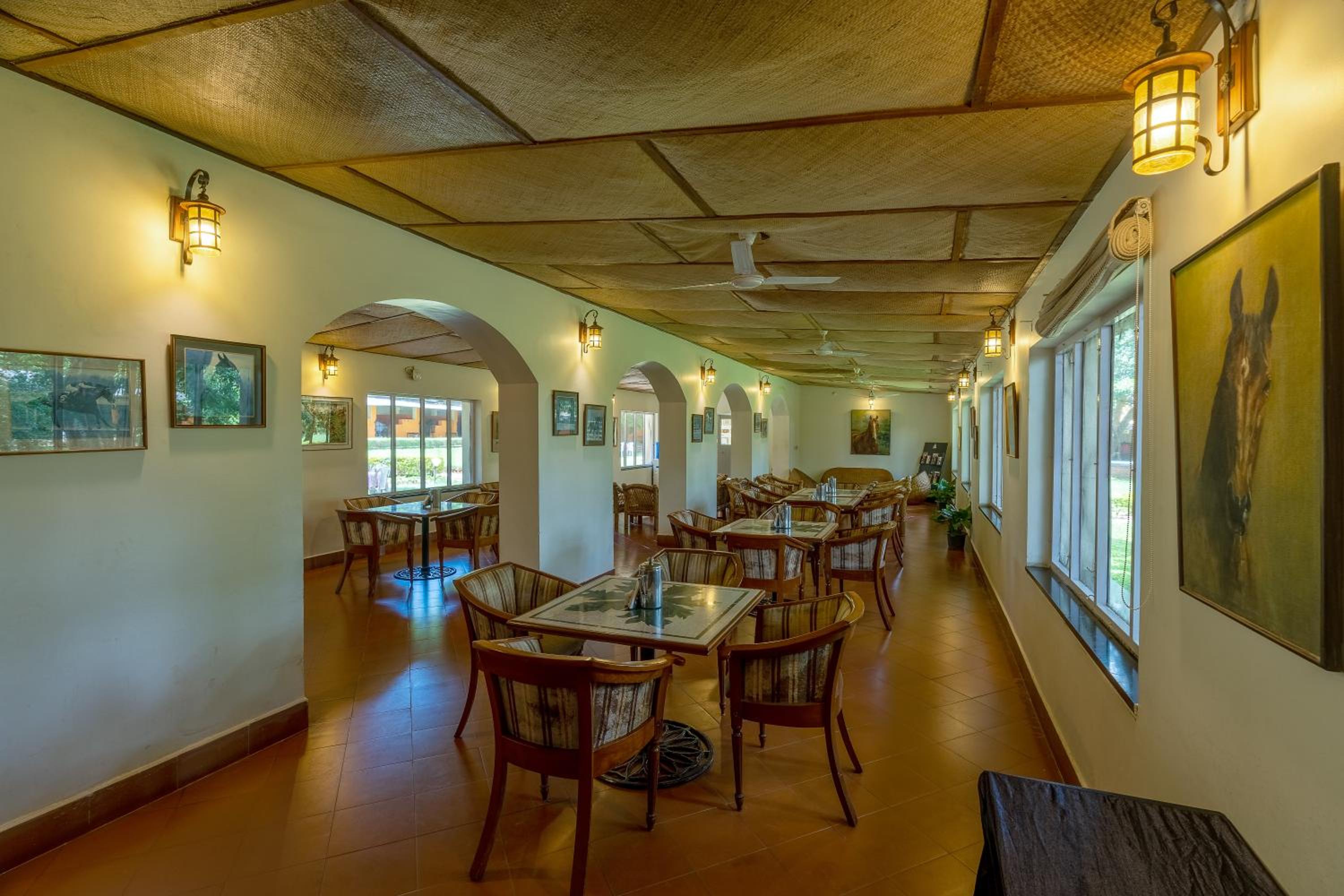 Olive Farm @ Embassy International Riding School