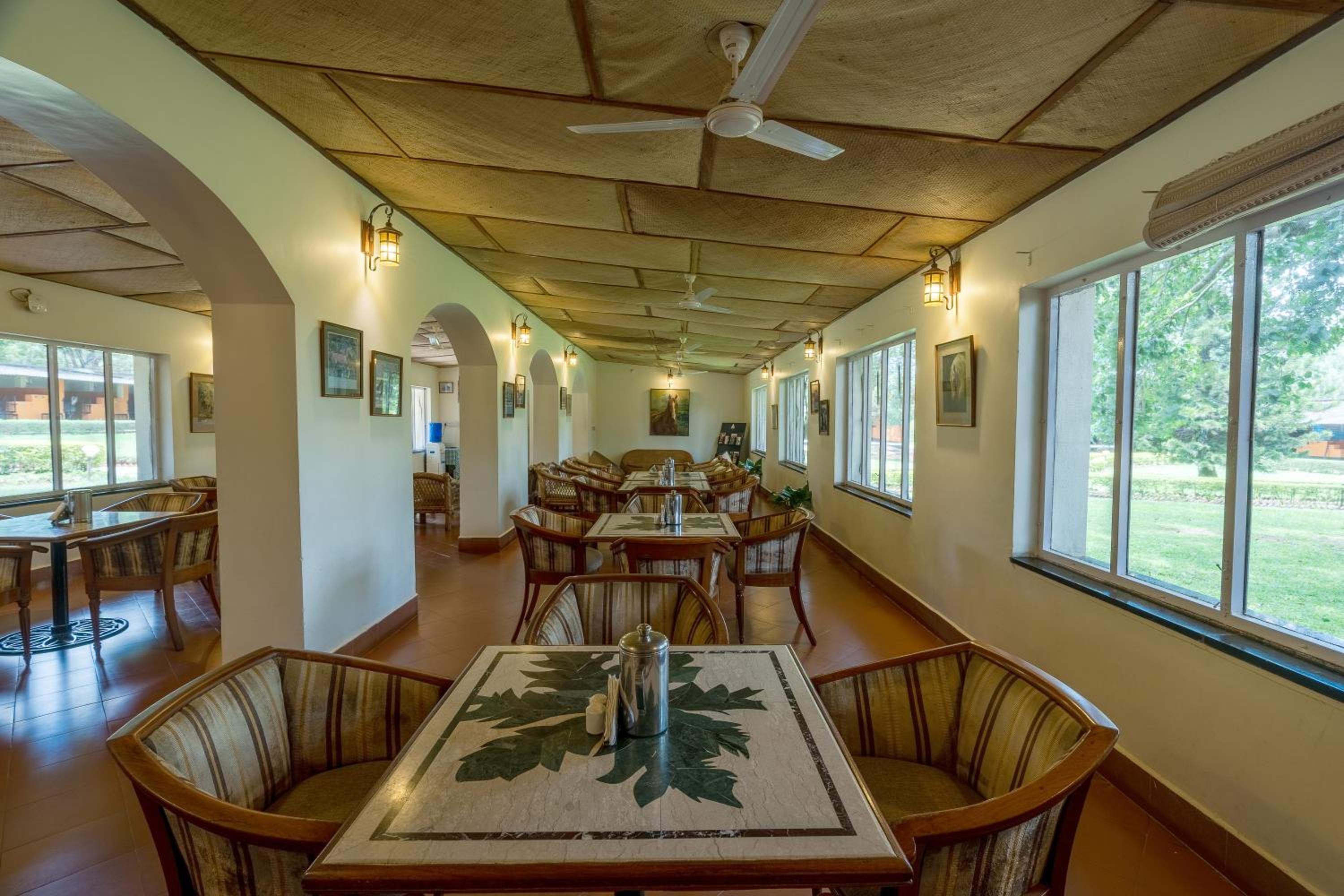 Olive Farm @ Embassy International Riding School
