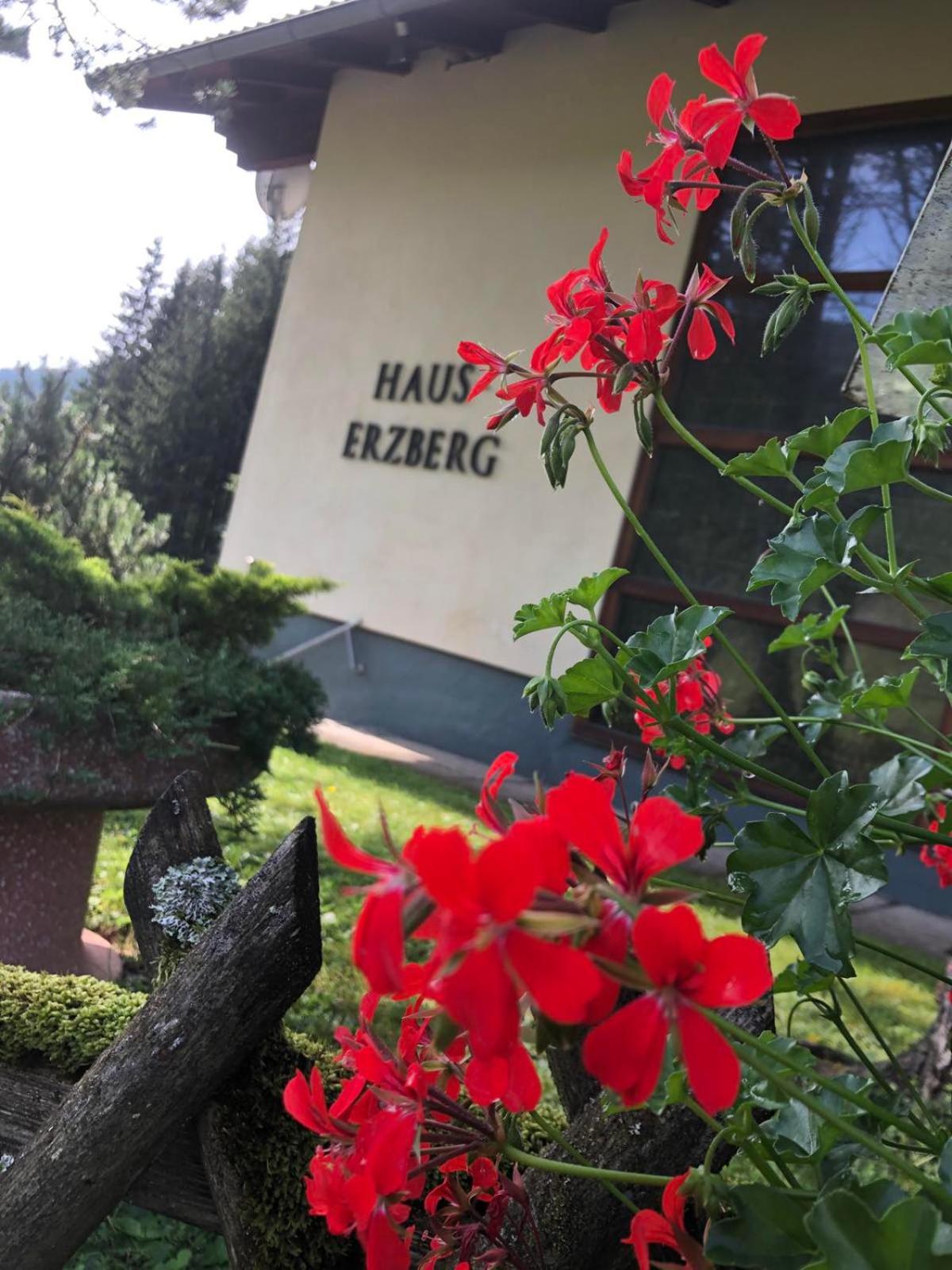 Haus-erzberg