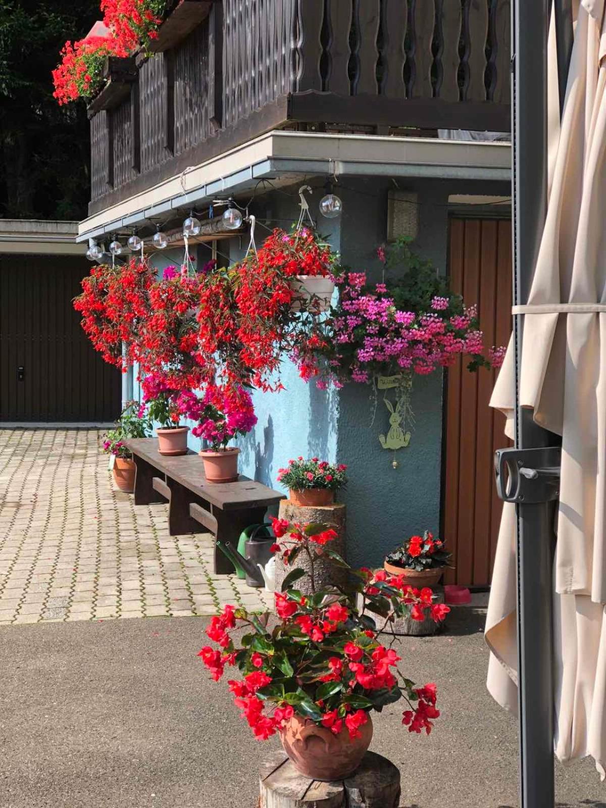 Haus-erzberg