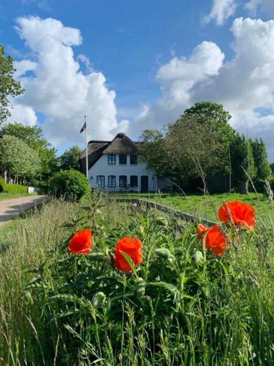 An der Marsch 27, Haus auf Föhr OG