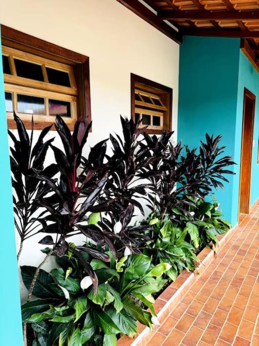 Villa Capivara