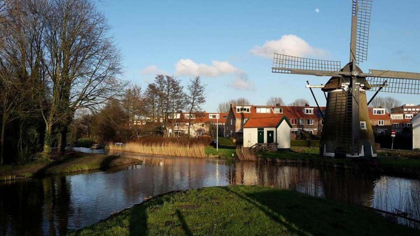 Cozy room in residential Alkmaar - Free parking view 4