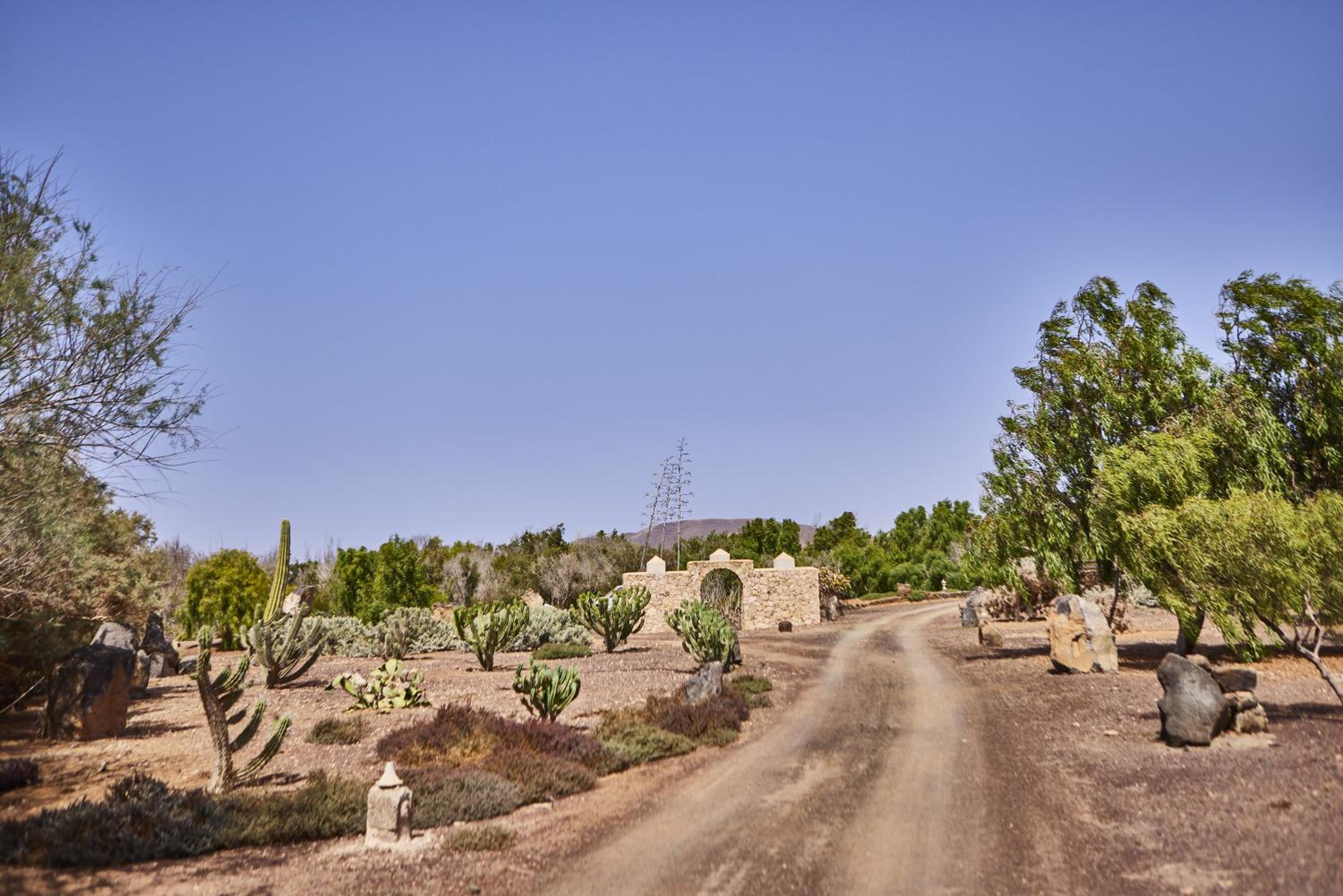 Oasis San Martin El Cotillo
