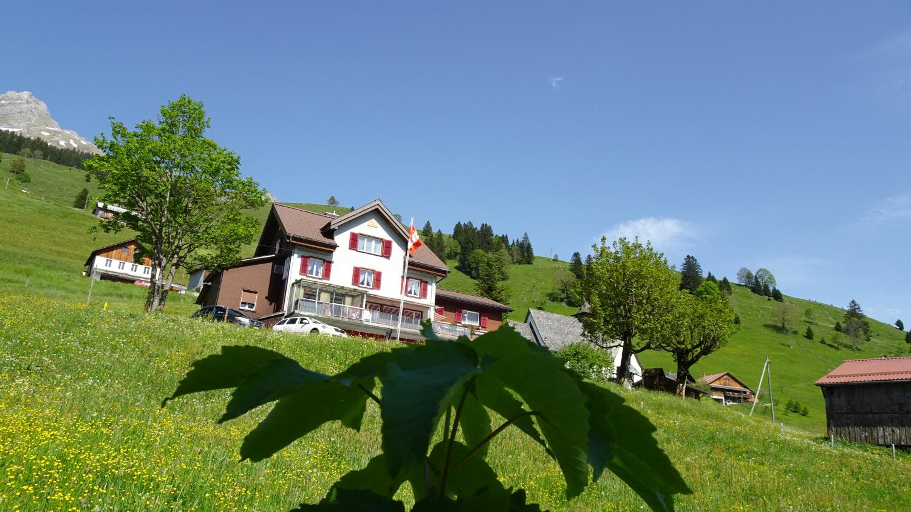 Photo 8