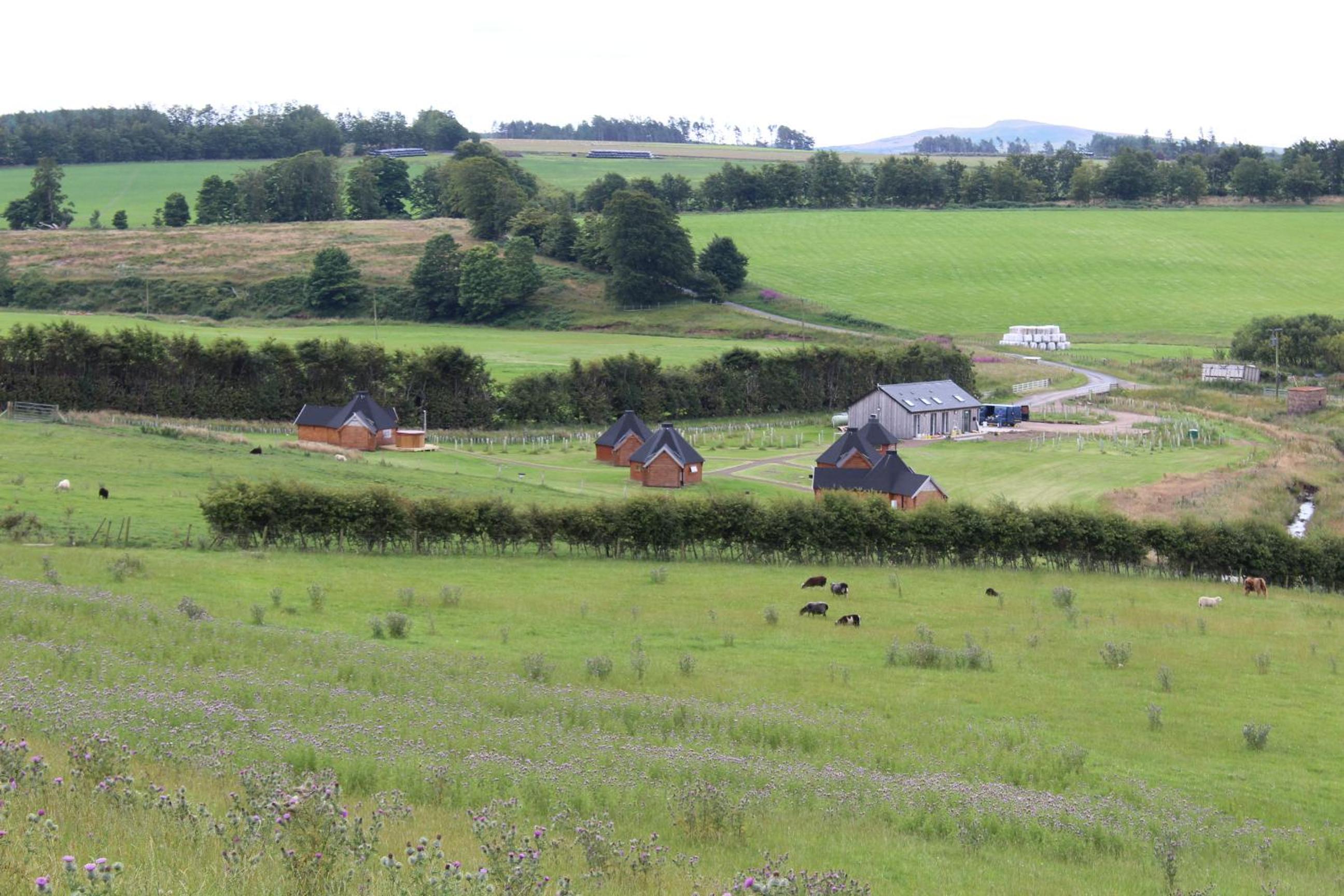 Belstruther Glamping
