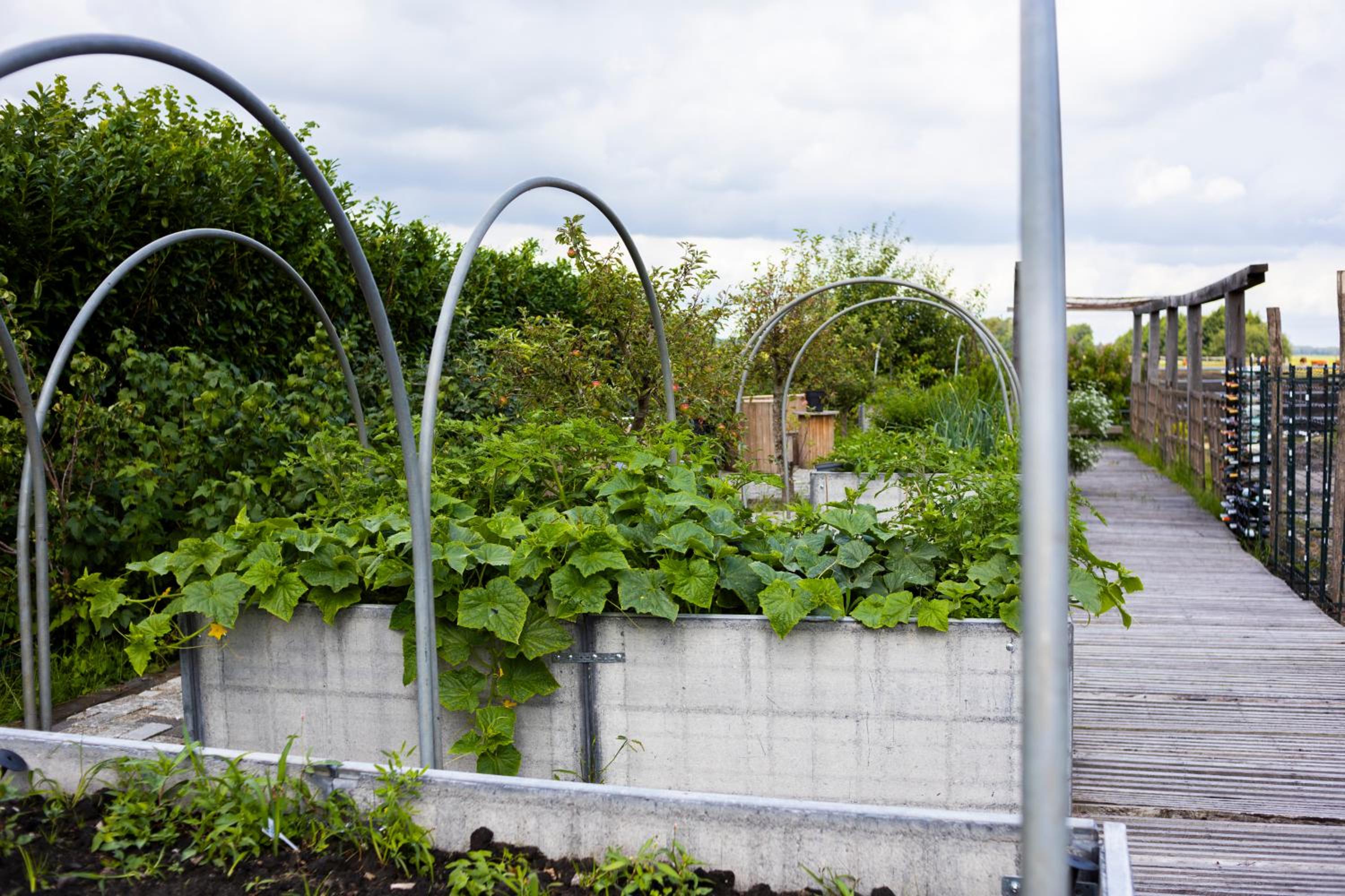 De Perenhoeve view 3