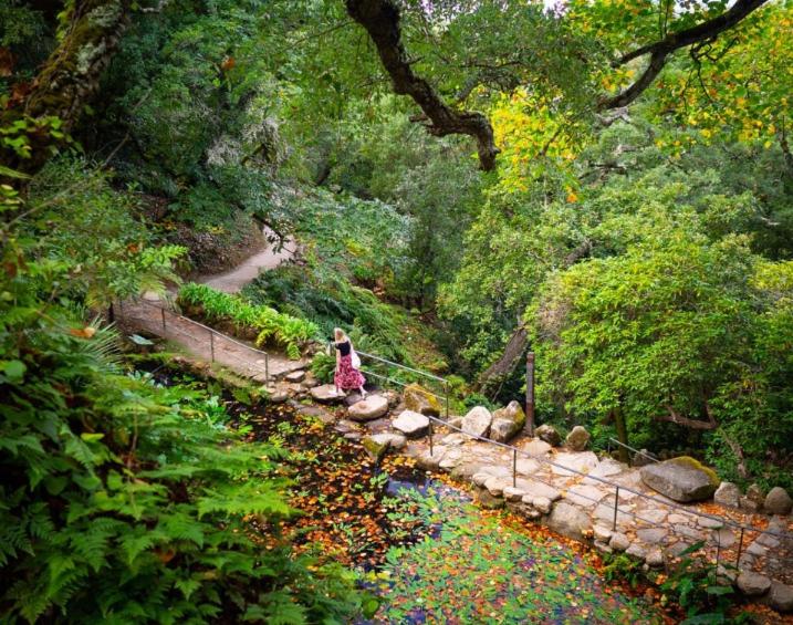 Casa das Nozes - Sintra Hills Apt 1 view 5
