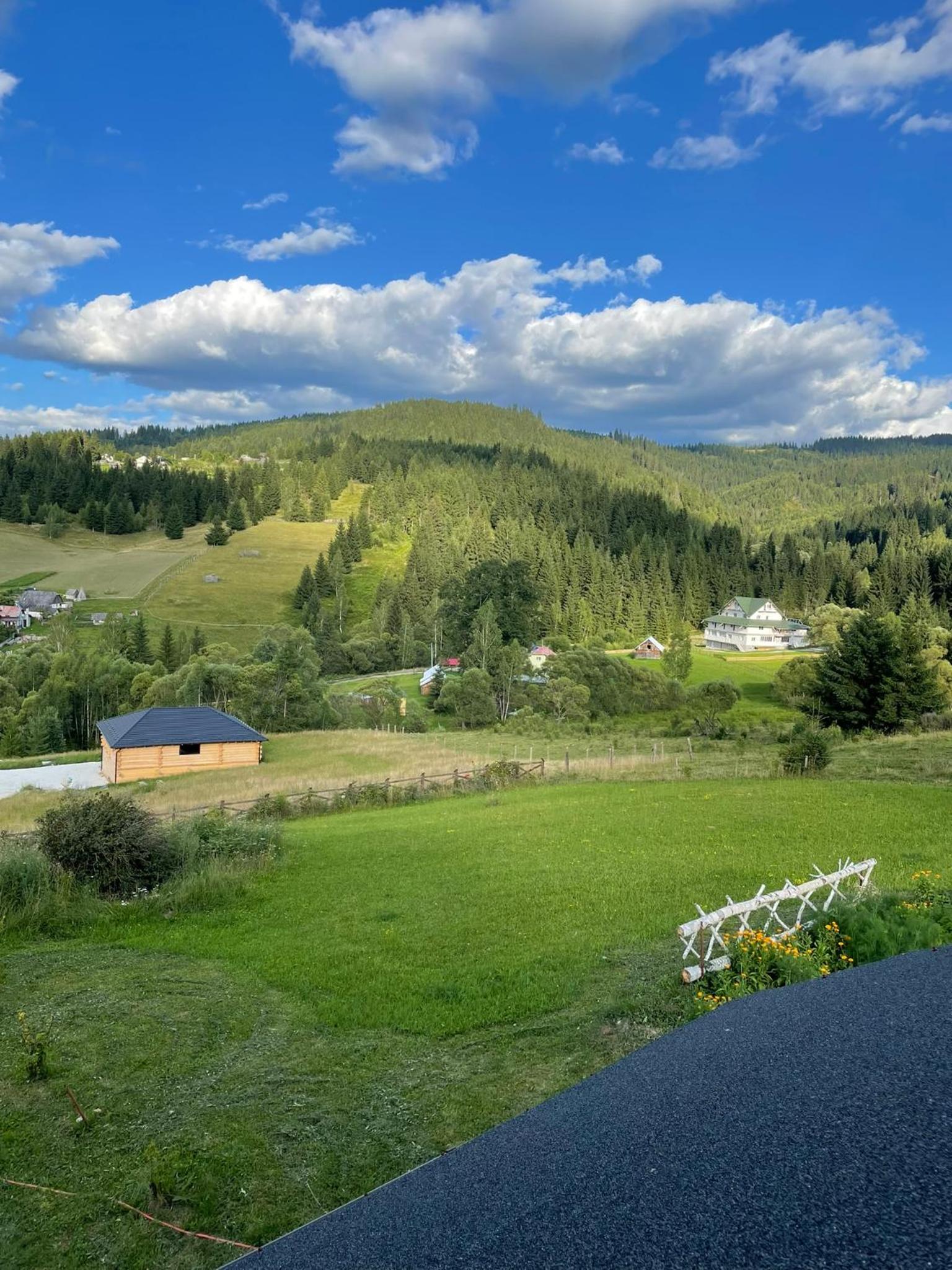 Photo 43
