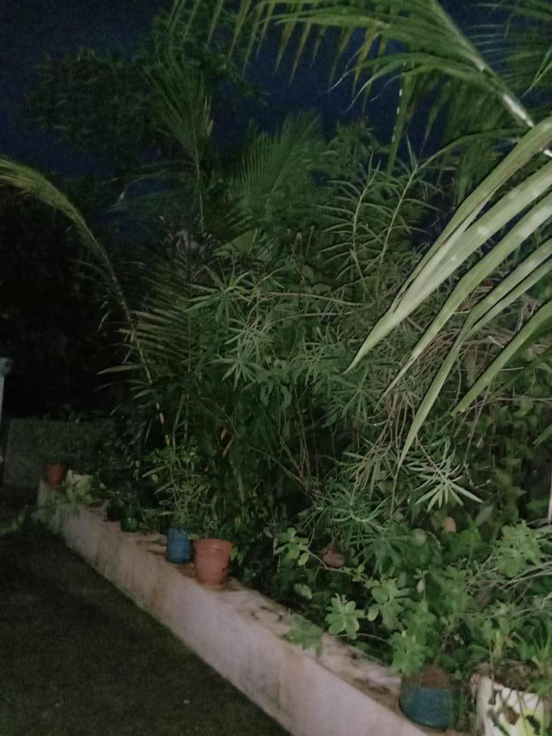 Anna Miracle Homestay