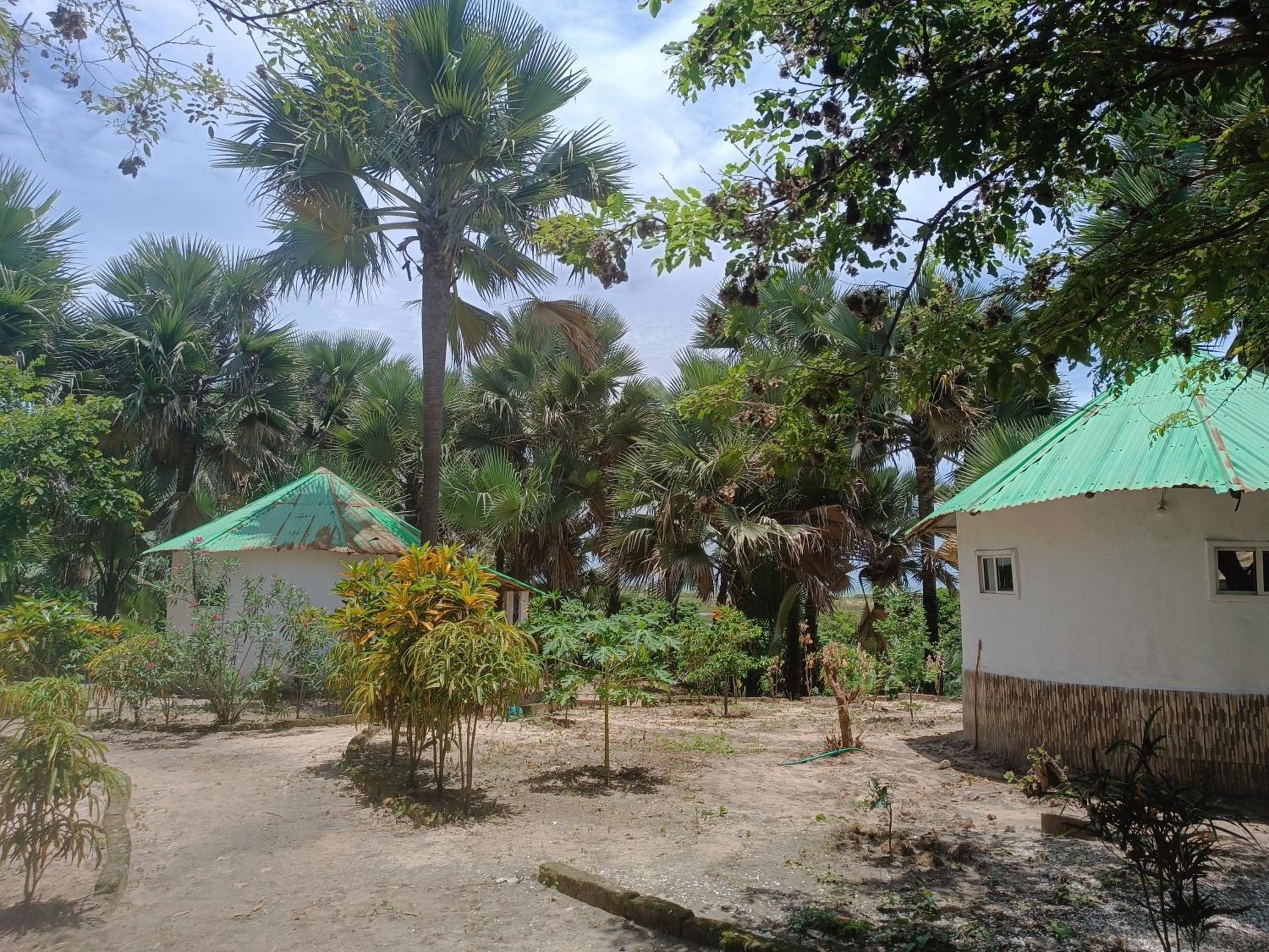 Photo 13