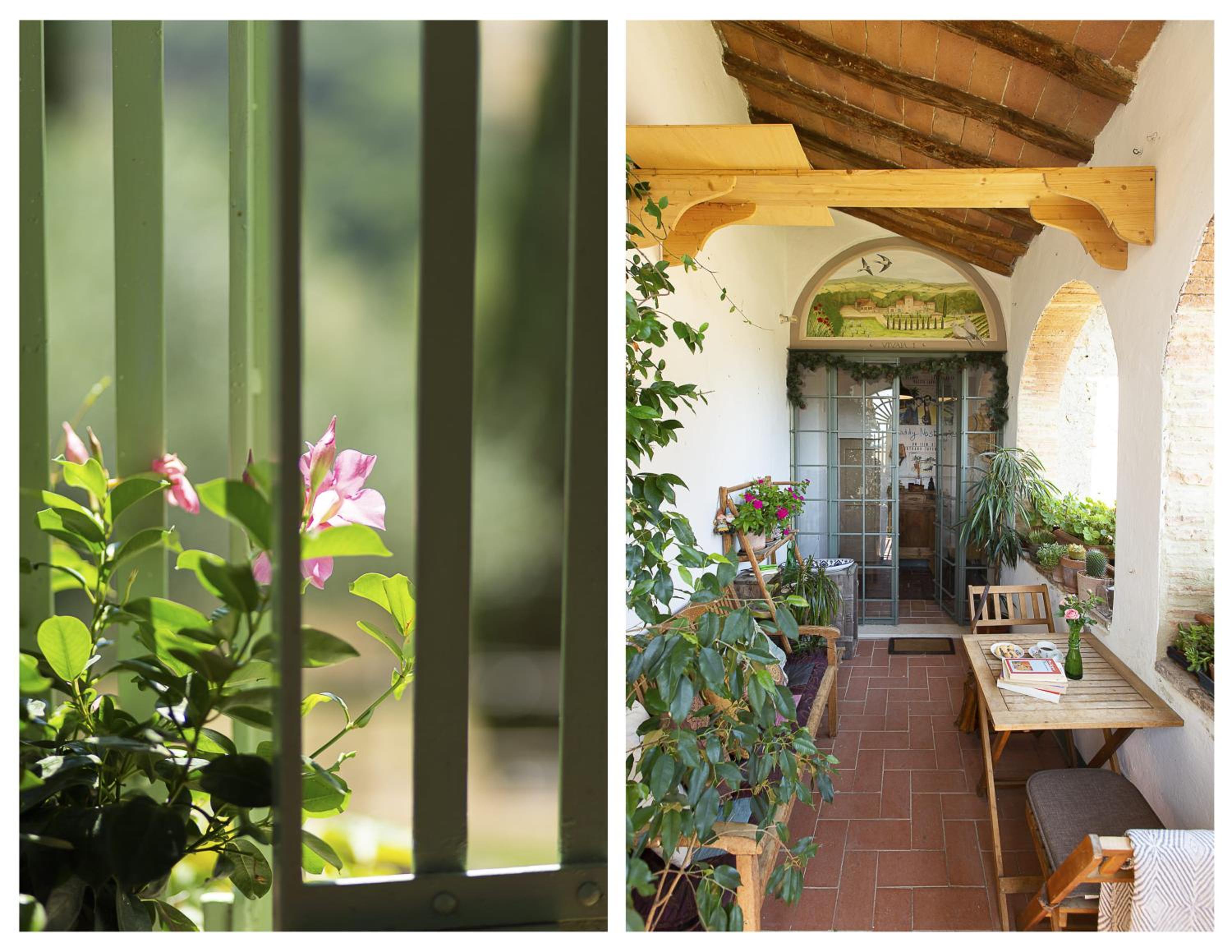 Vivaia Trendy Rural photo 2