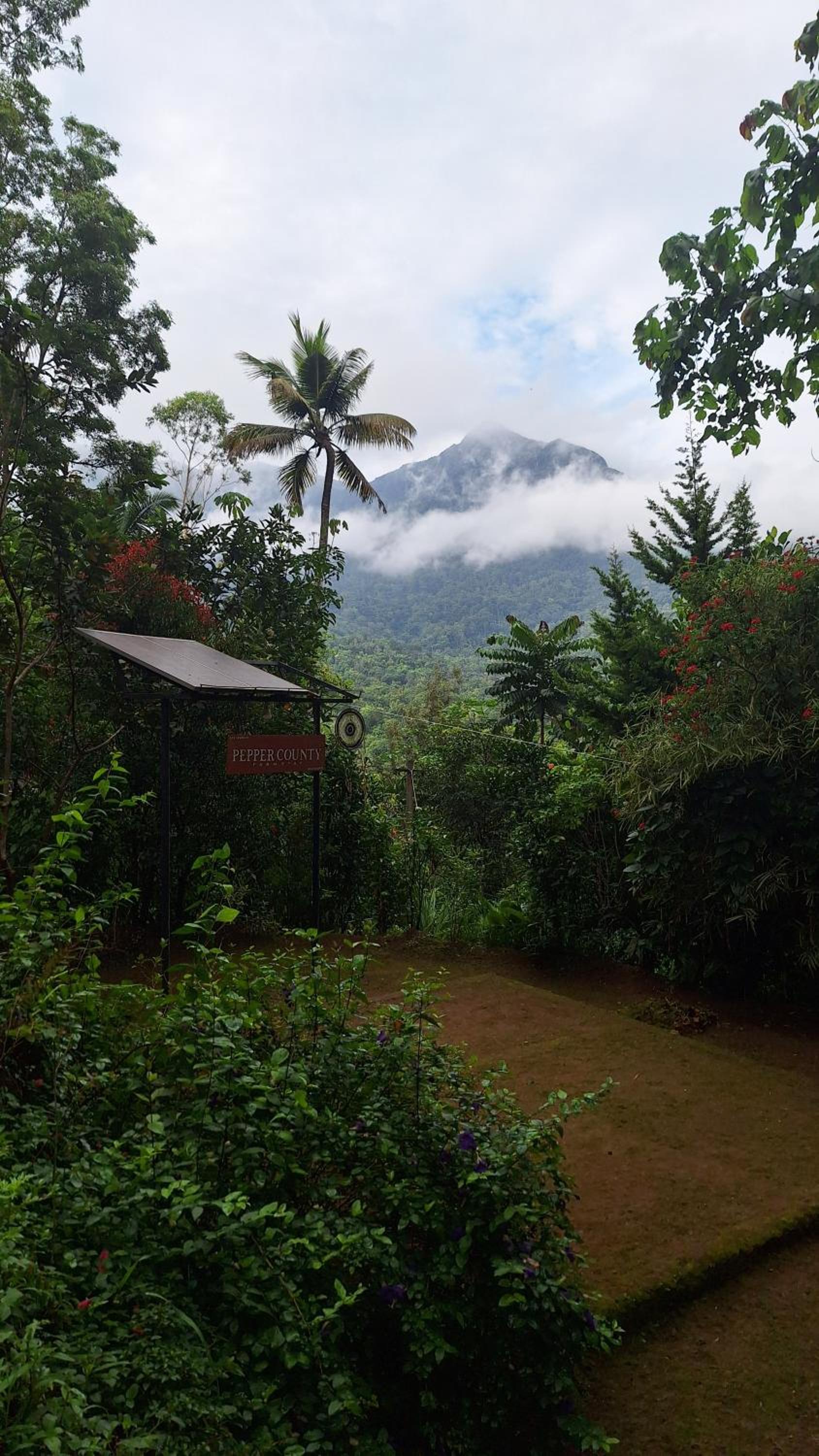 Photo 52