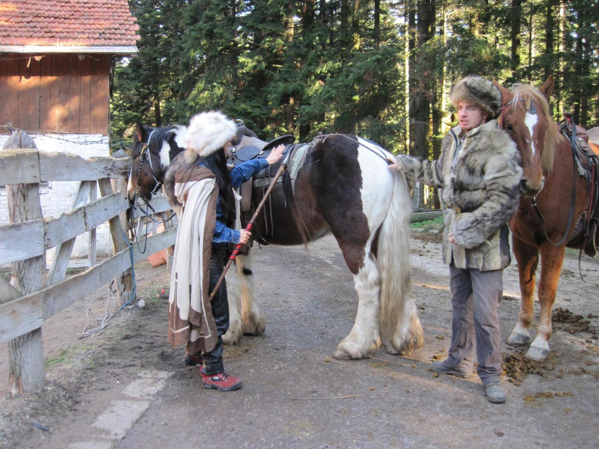 Photo 29