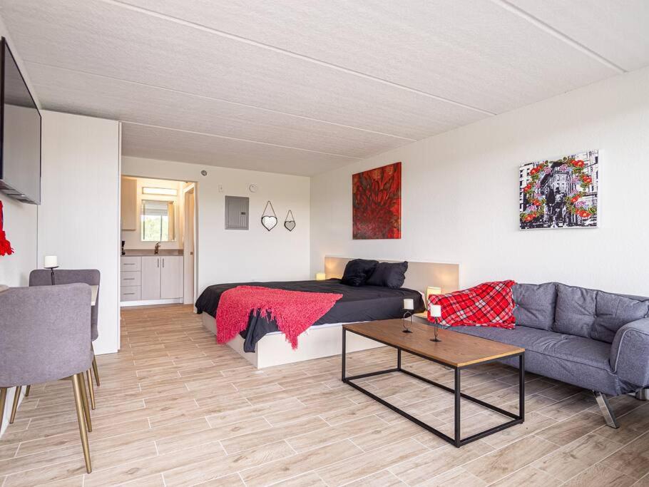 Orlando Prime Location 1BR Home 5 minutes to Disney view 4