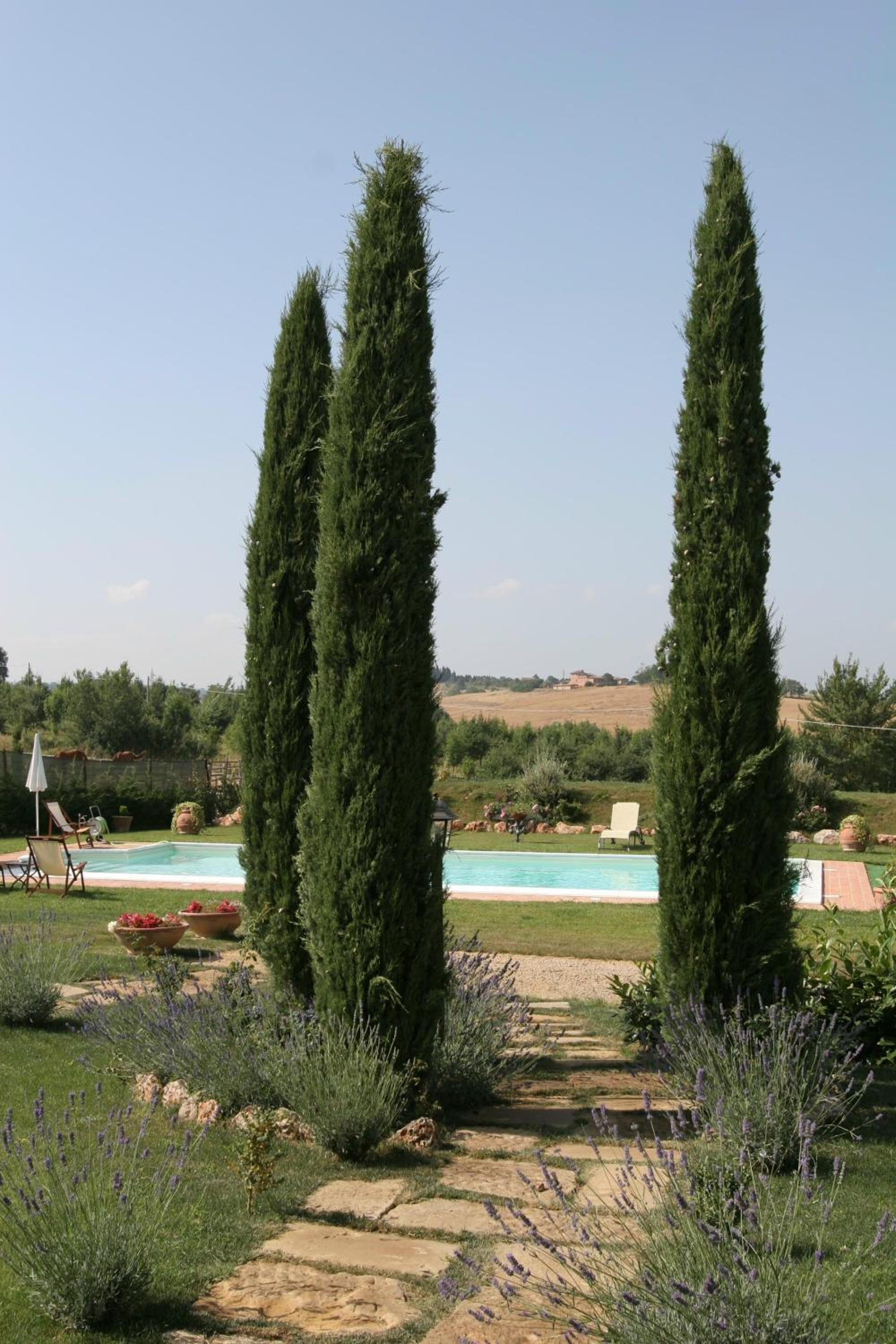 Agriturismo Renaccino