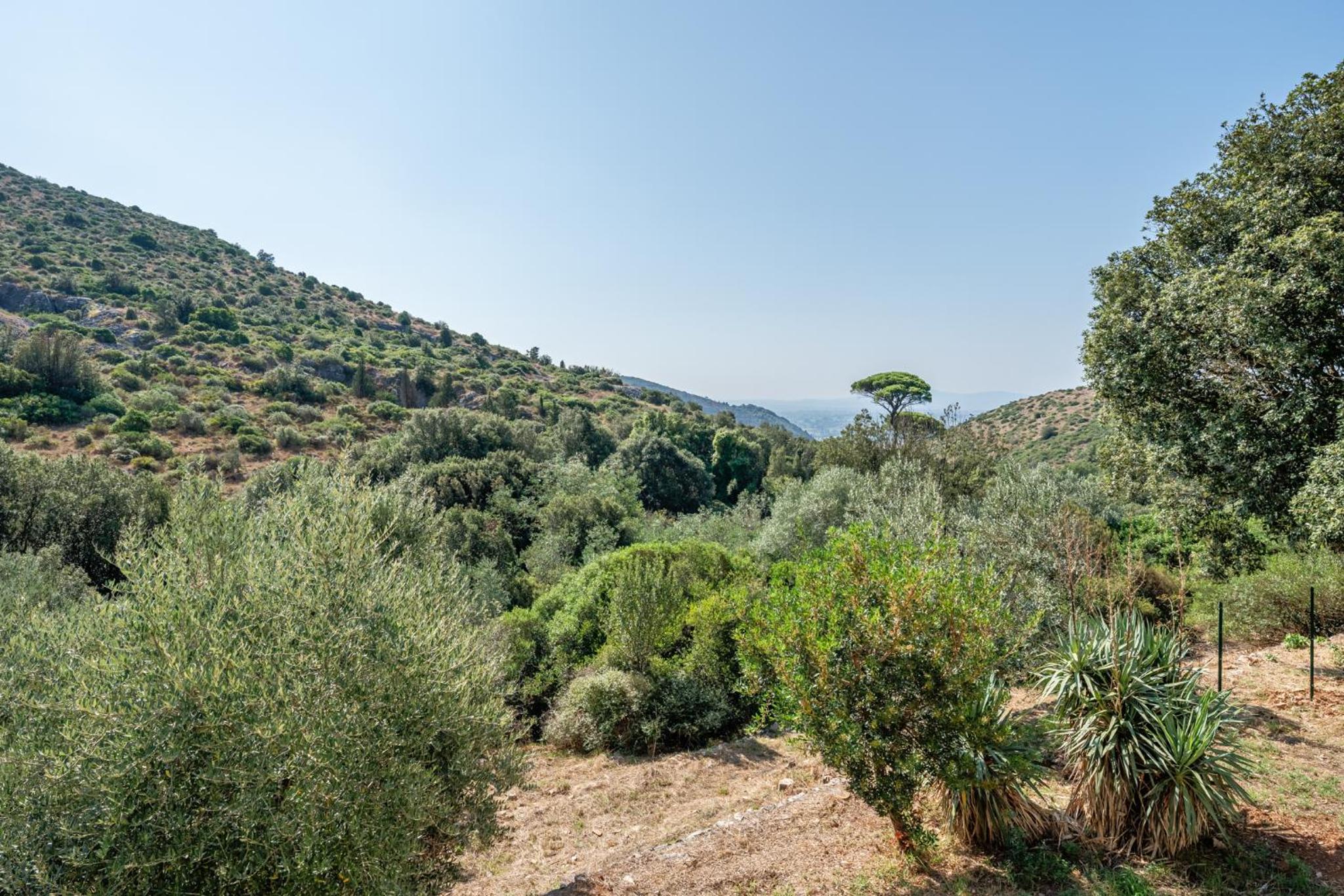 Villetta dei Cipressi
