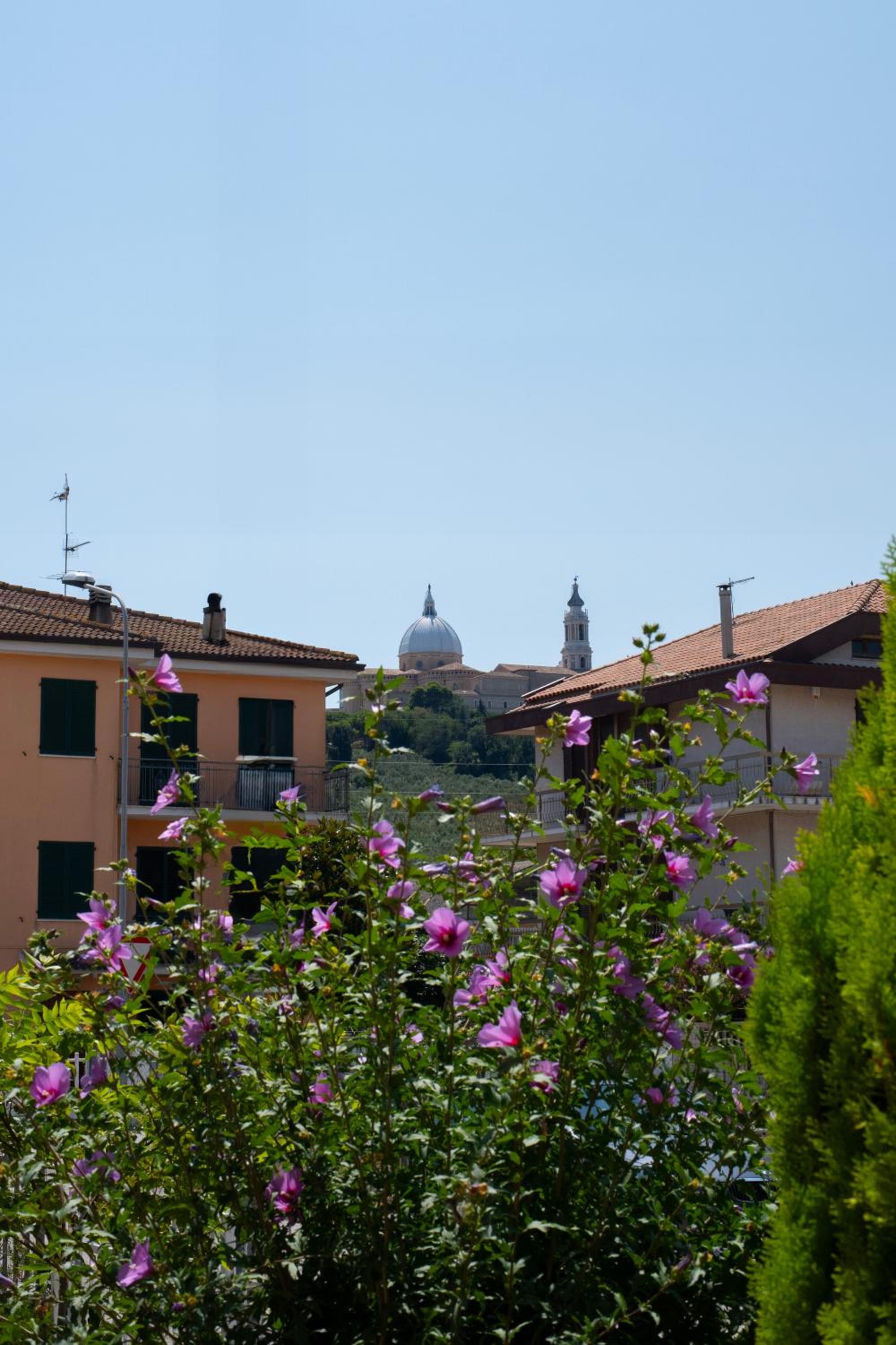 Villa Bianca Apartment view 5