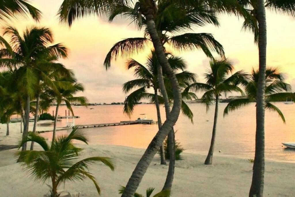 LA VIDA - Duplex on the beach view 5