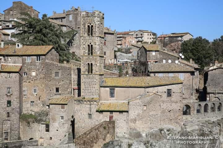 Photo 35