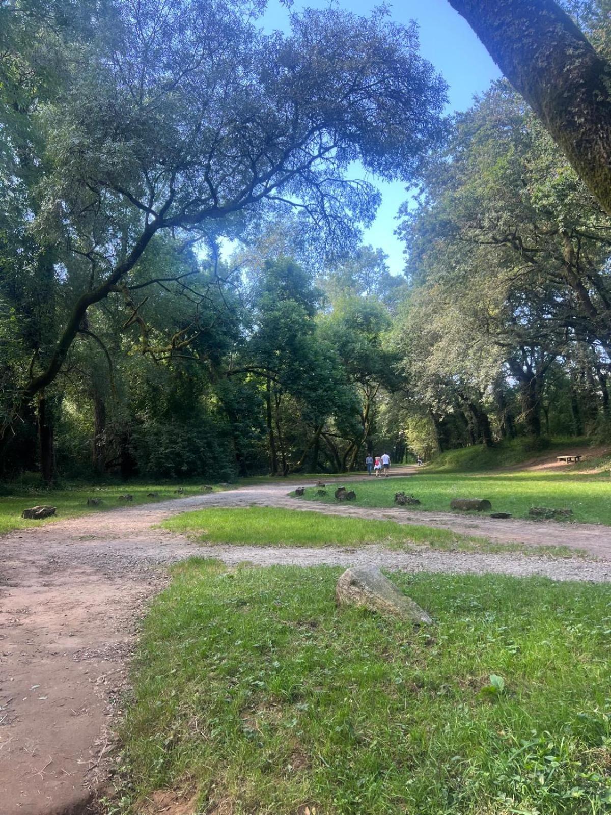 Mártires de Carral