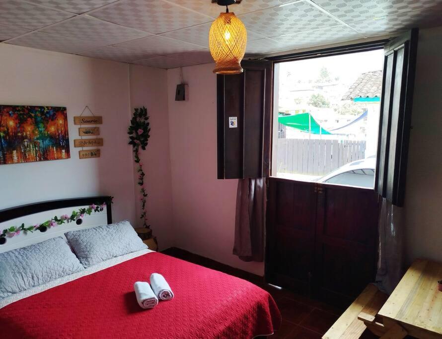 Clavel 4
