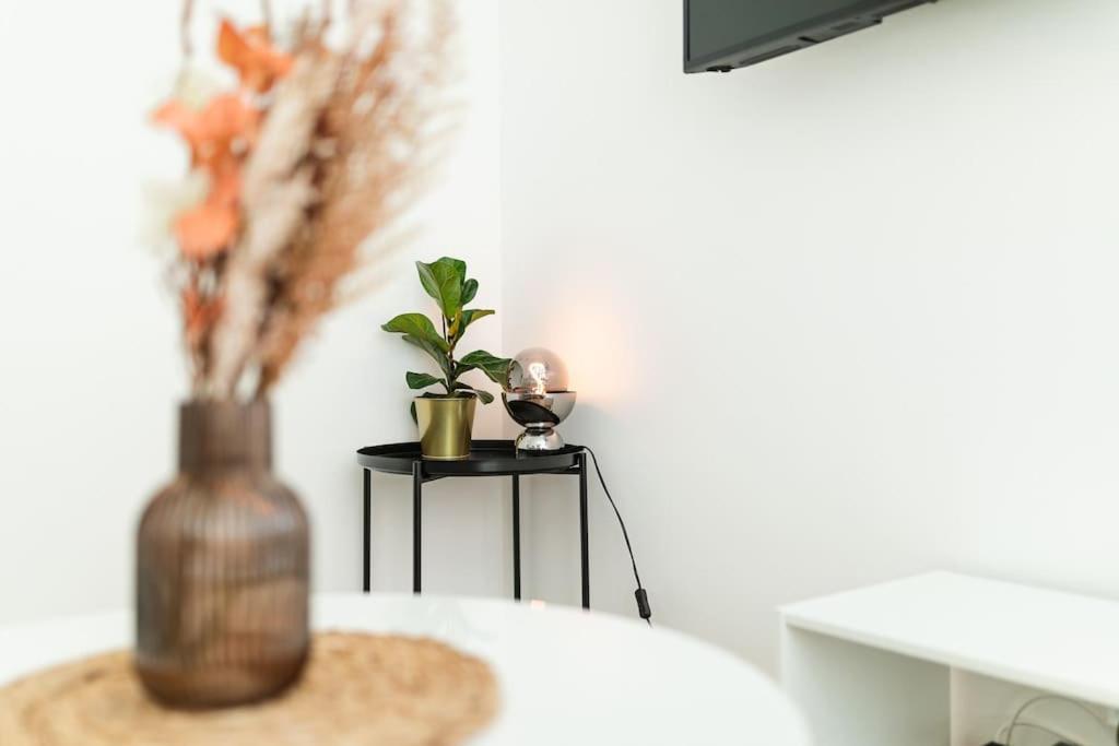 Sv Albert apartmán