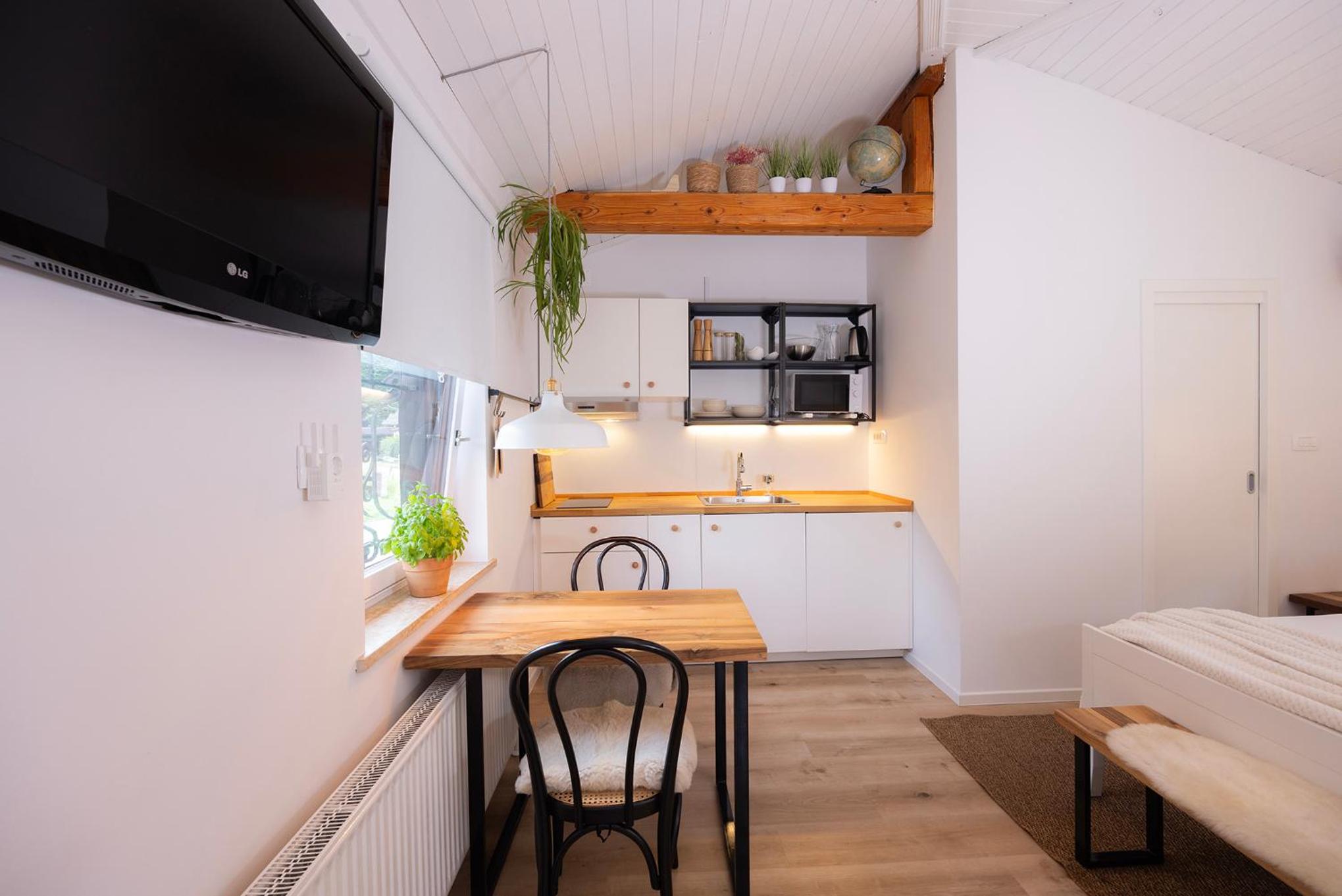 Studio Apartment Jož' view 2