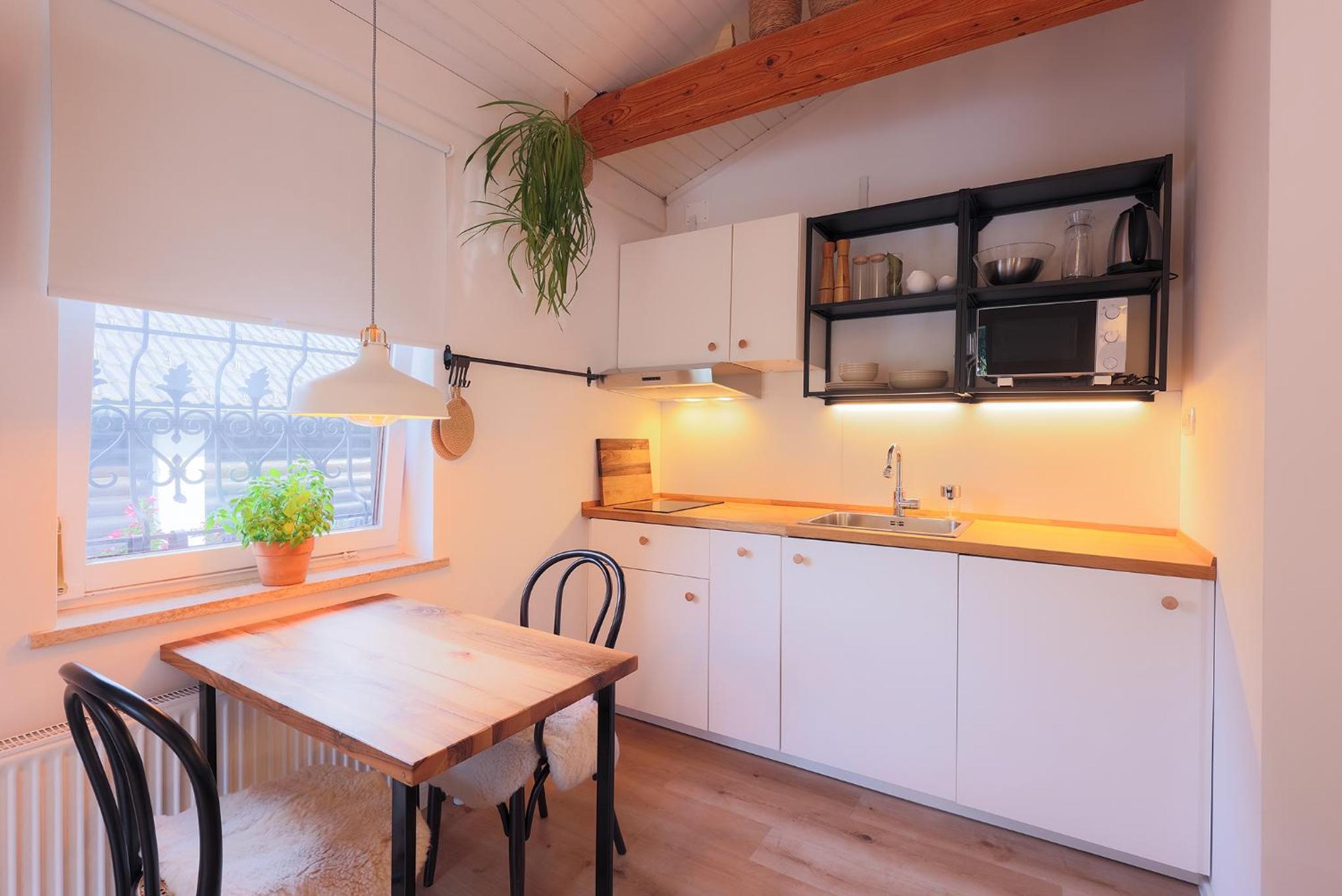 Studio Apartment Jož' view 5