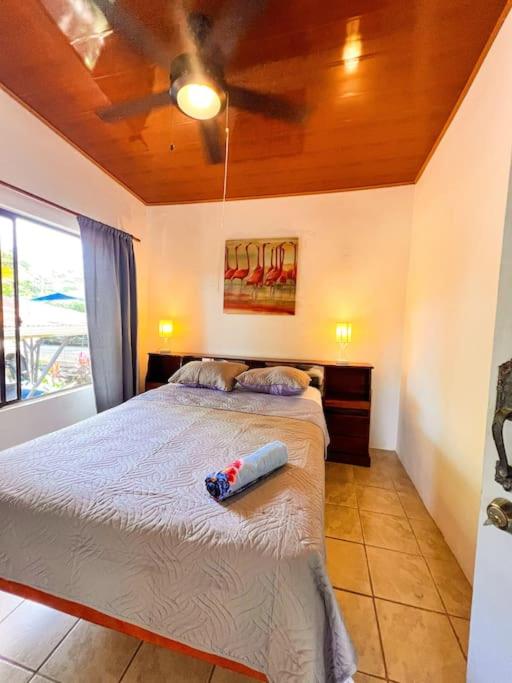 2Bed 1Bath Cozy Casita Lapa in Manuel Antonio