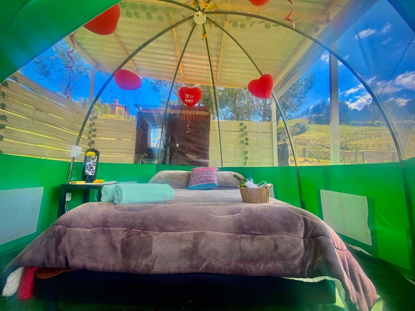 Glamping Luna de Amor