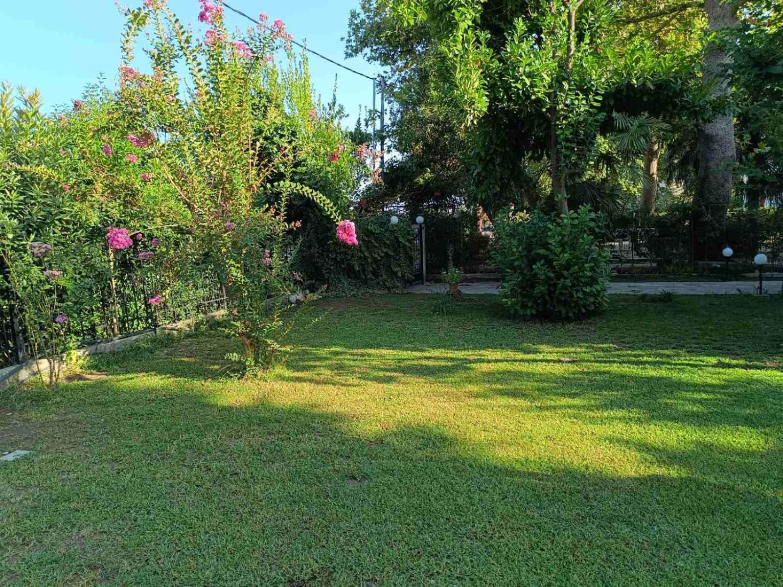 Dimis apartments