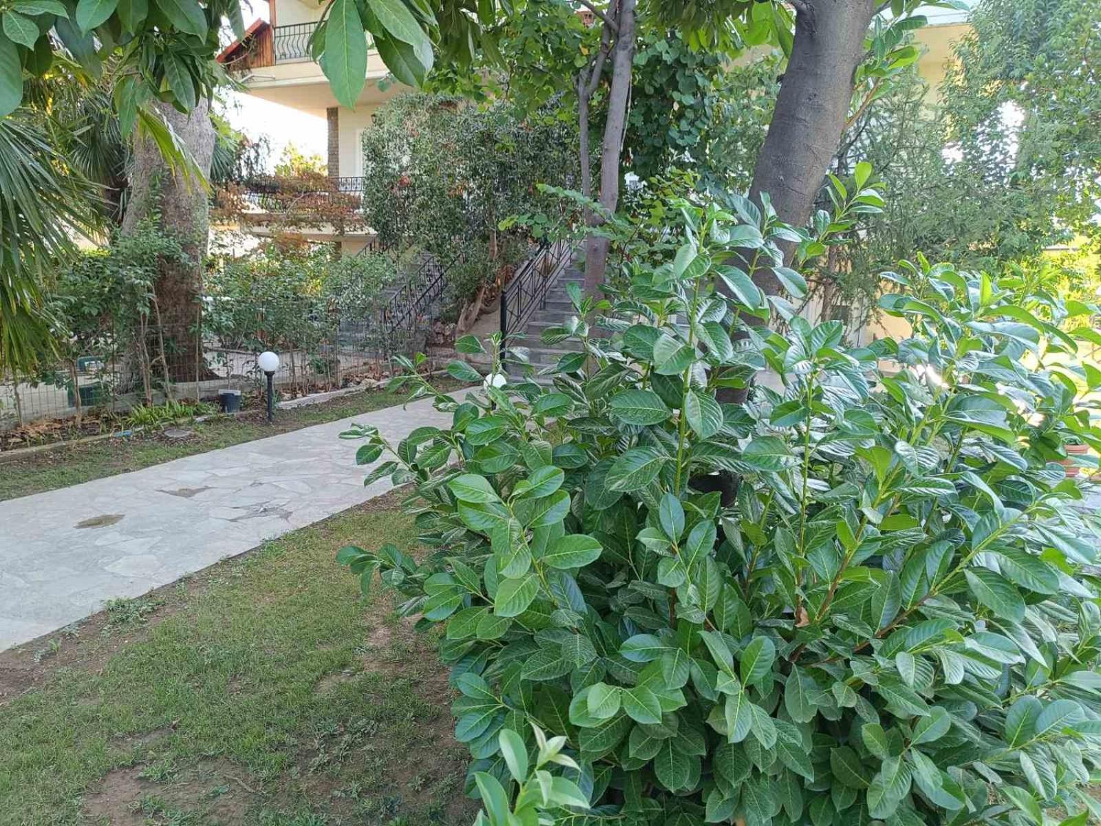 Dimis apartments