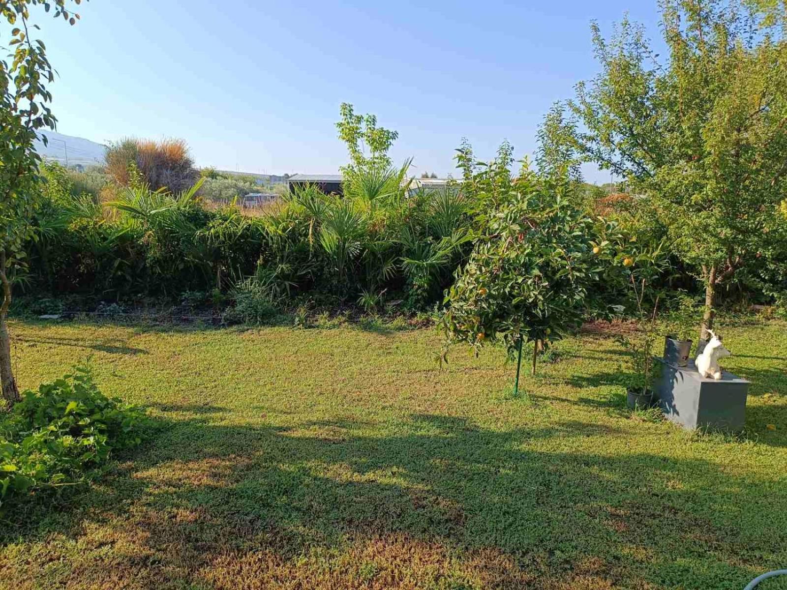 Dimis apartments