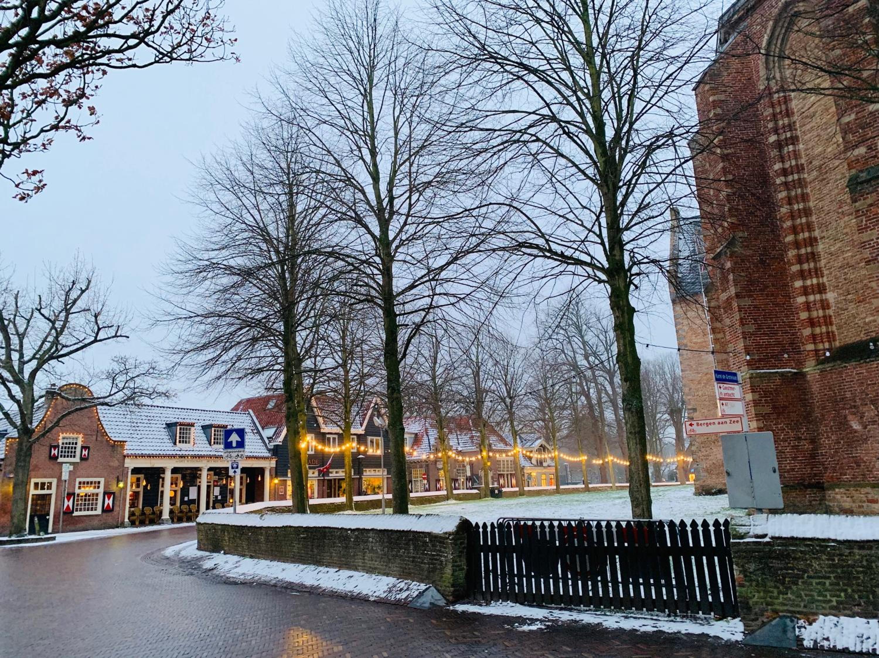 Duinstudio Bergen