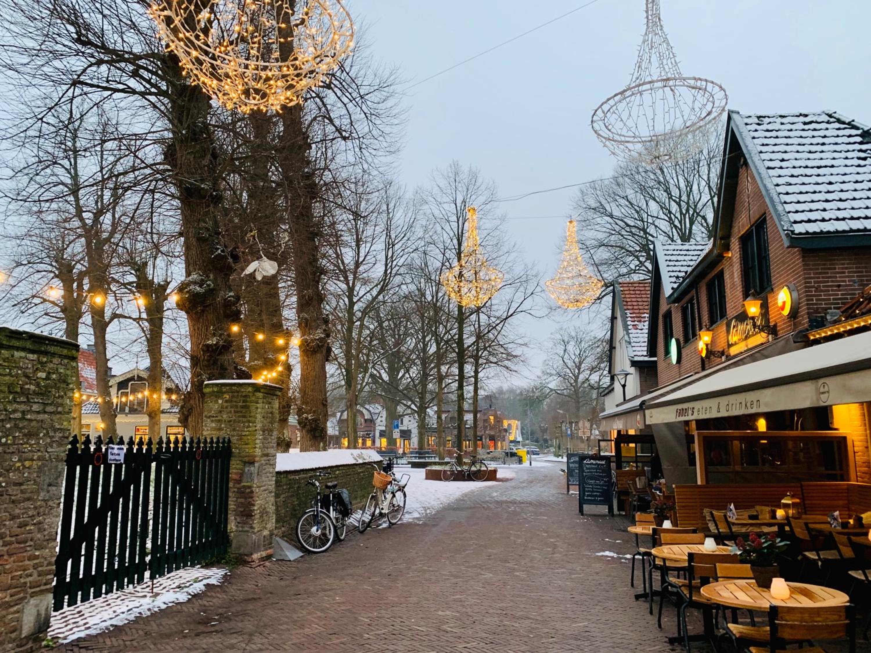 Duinstudio Bergen