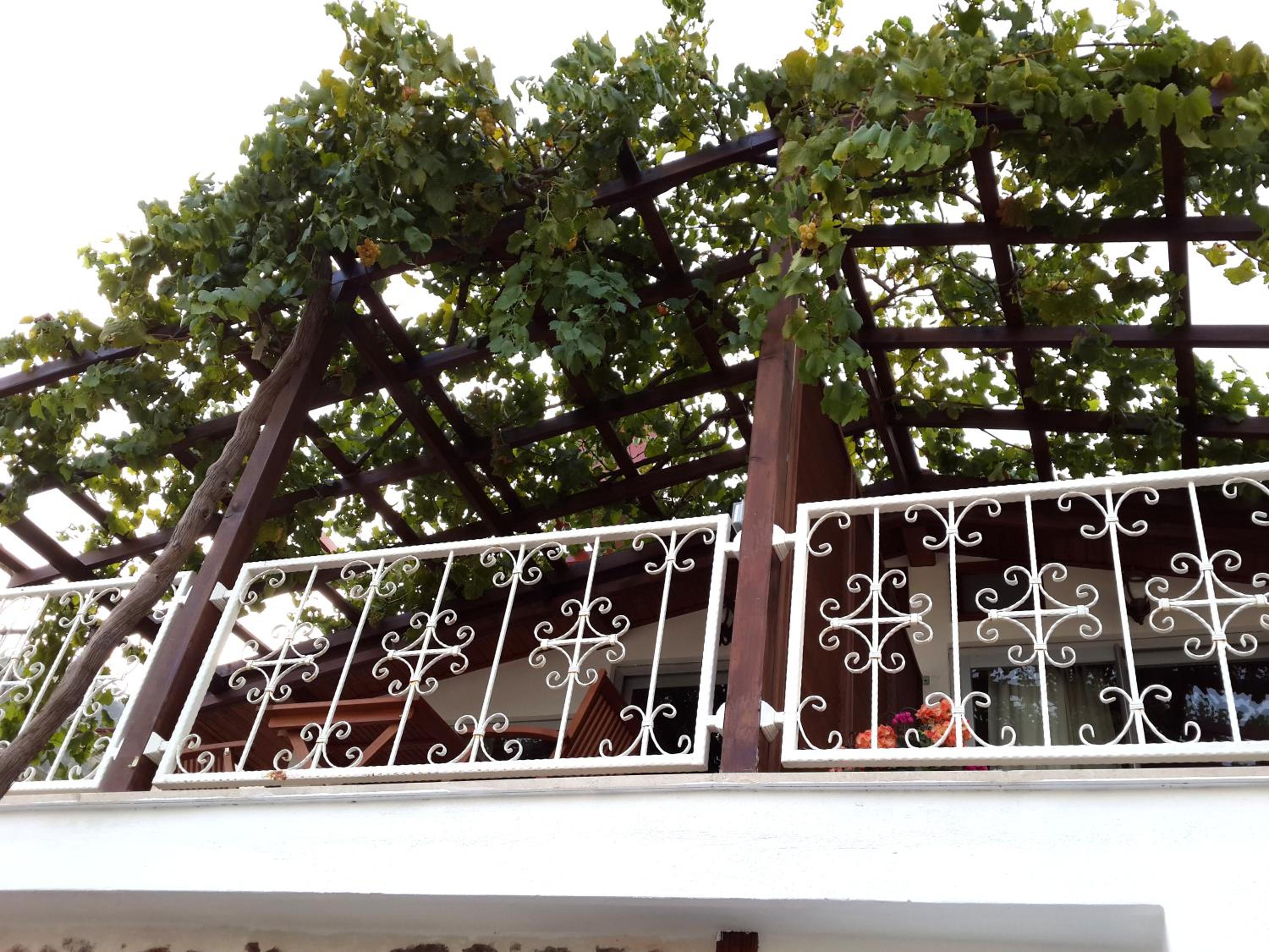 Lemon Villa Otel - Yetişkinlere Özel - Image 80